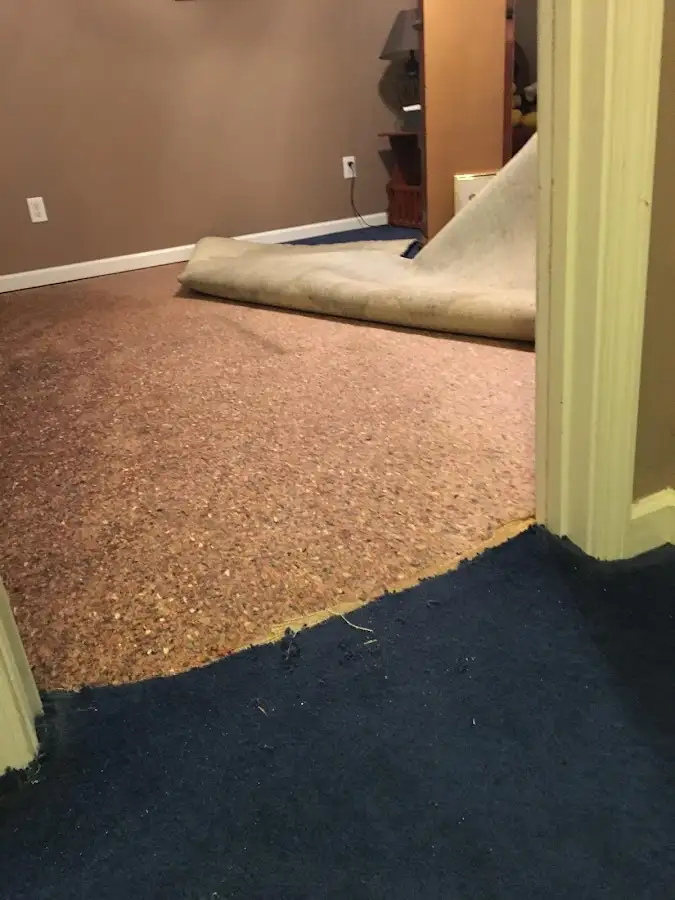 Carpet pad removal revealing water damage during Drying & Dehumidification in Crozet