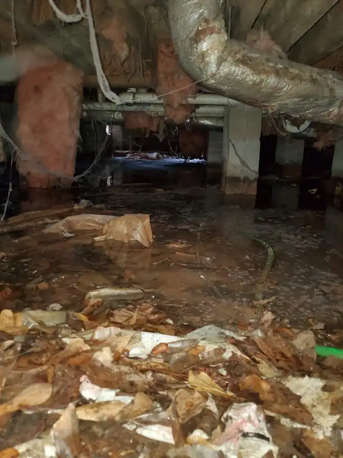 Crawl space flood assessment for Leak Detection & Repair in Crozet